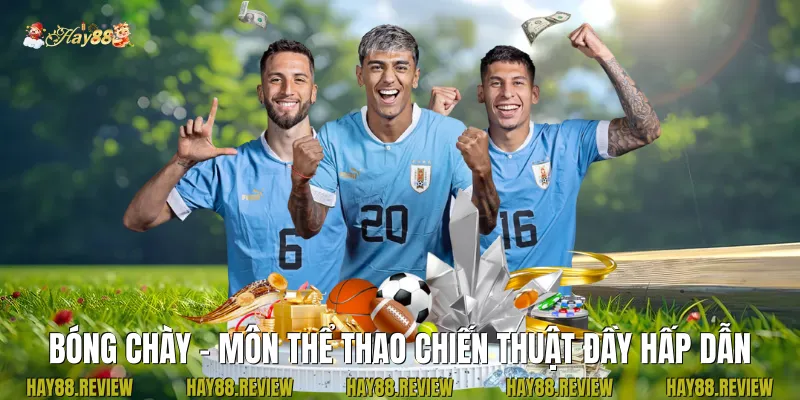 Bóng Chày – Môn Thể Thao Chiến Thuật Đầy Hấp Dẫn