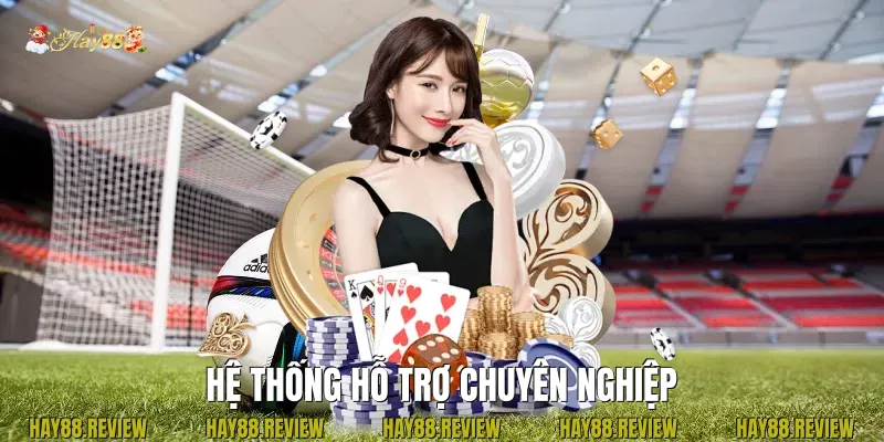Hệ thống hỗ trợ chuyên nghiệp
